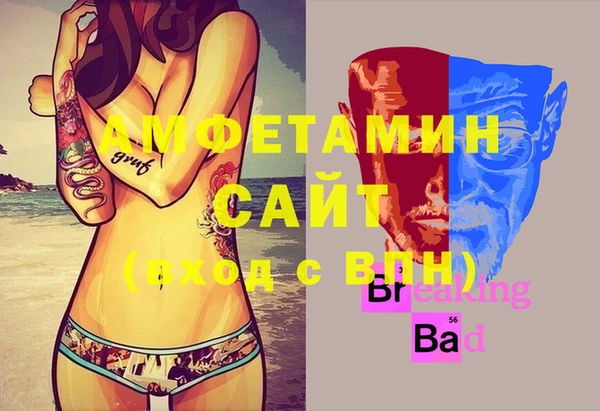 молекула духа Мегион