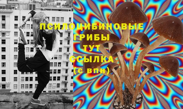 мяу мяу кристалл Магас