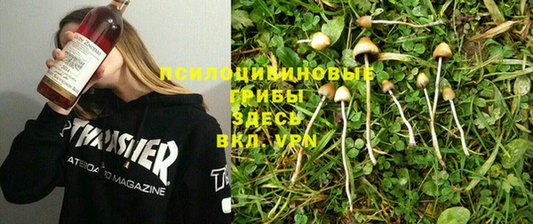 мяу мяу кристалл Магас