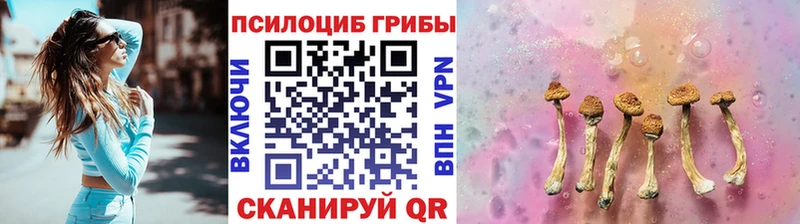 Псилоцибиновые грибы Cubensis  Купить  Кинешма 